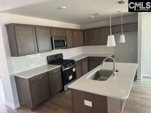 735 Clementine Run, Gilbert, SC 29054