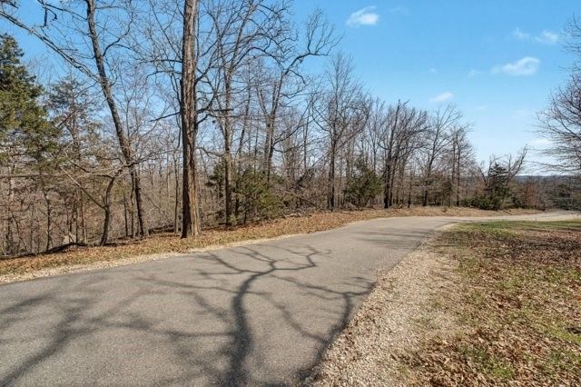 Lot 1 Hinchingbrooke Lane, Garfield, AR 72732