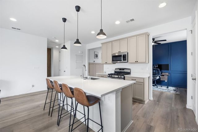 4085 Castle Vista Drive, Castle Rock, CO 80104