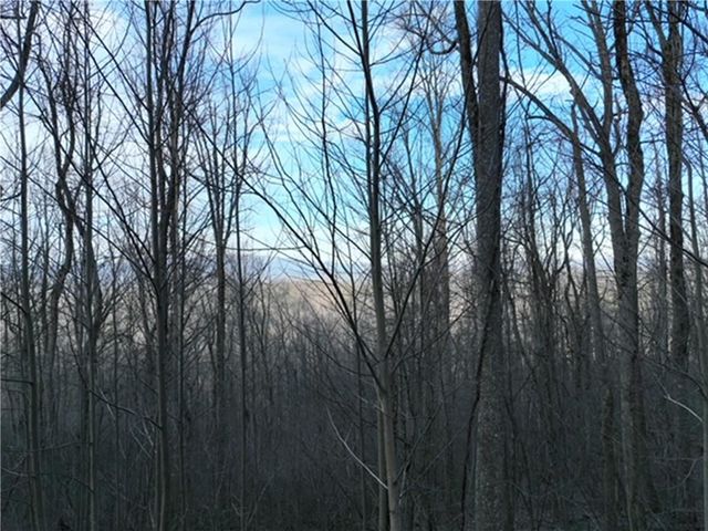 280 Andes Ridge, Ellijay, GA 30536