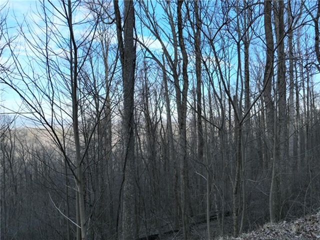 280 Andes Ridge, Ellijay, GA 30536