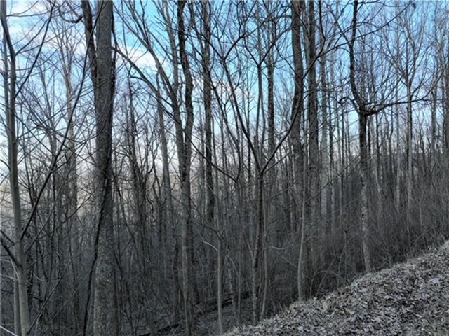 280 Andes Ridge, Ellijay, GA 30536
