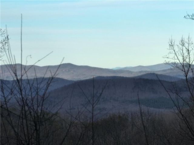 280 Andes Ridge, Ellijay, GA 30536