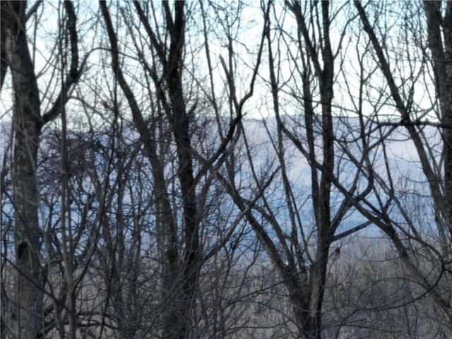 280 Andes Ridge, Ellijay, GA 30536