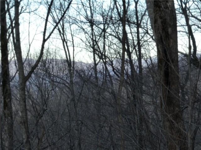 280 Andes Ridge, Ellijay, GA 30536