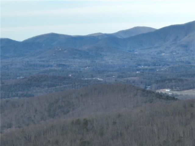 280 Andes Ridge, Ellijay, GA 30536
