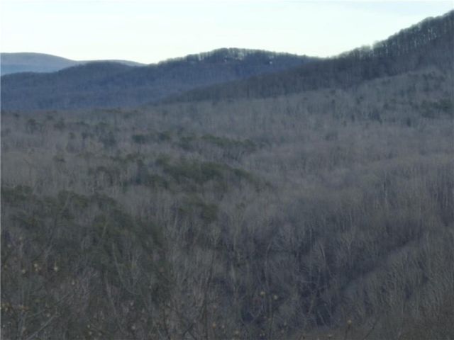 280 Andes Ridge, Ellijay, GA 30536