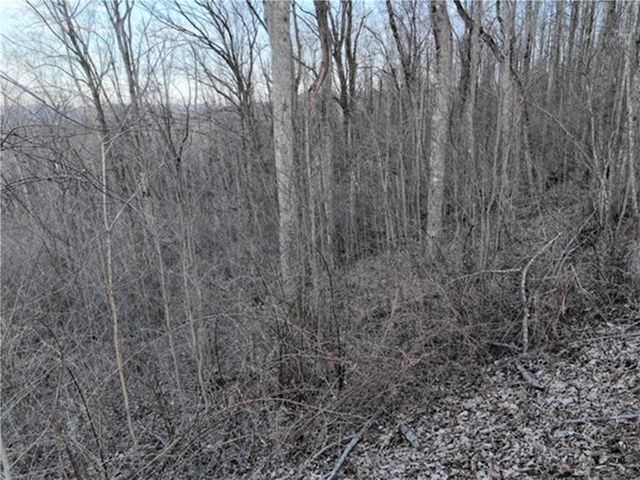 280 Andes Ridge, Ellijay, GA 30536