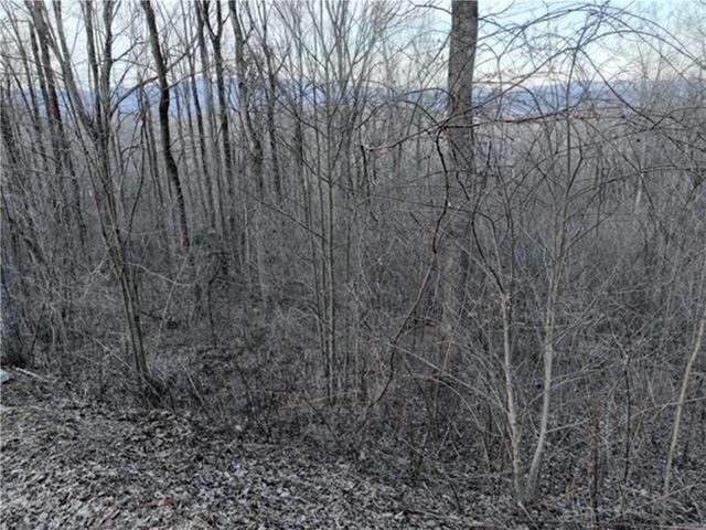 280 Andes Ridge, Ellijay, GA 30536