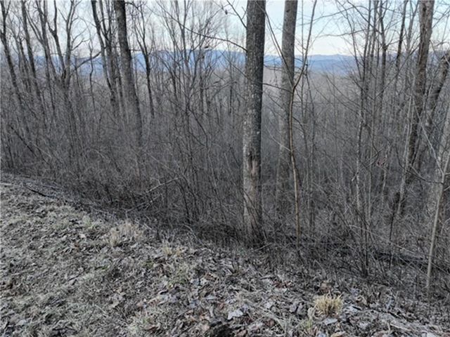 280 Andes Ridge, Ellijay, GA 30536