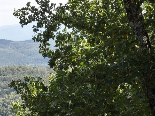 280 Andes Ridge, Ellijay, GA 30536