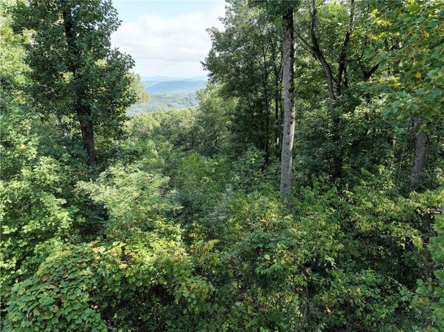 280 Andes Ridge, Ellijay, GA 30536