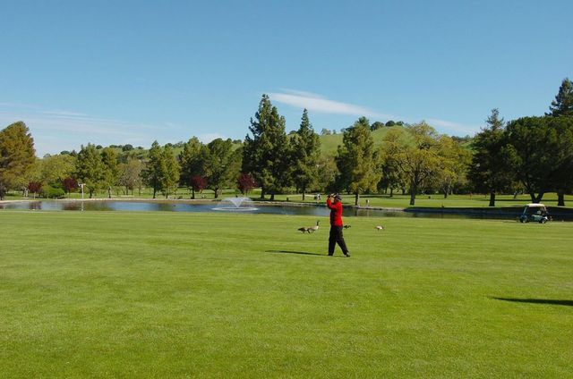 1708 Oakmont Dr 1, Walnut Creek, CA 94595