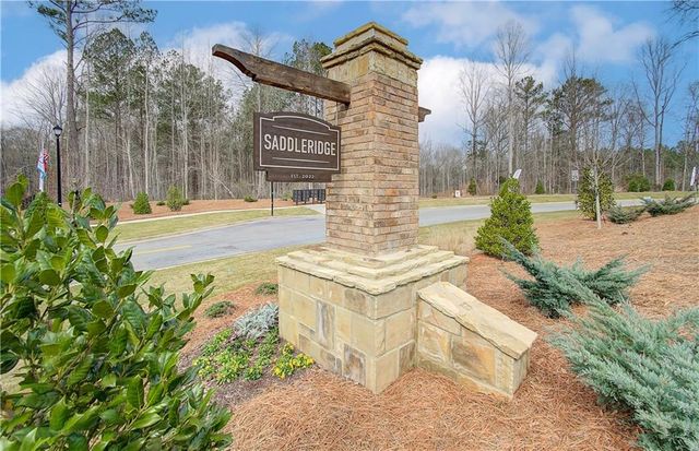 117 Homesite Saddle Drive, Senoia, GA 30276