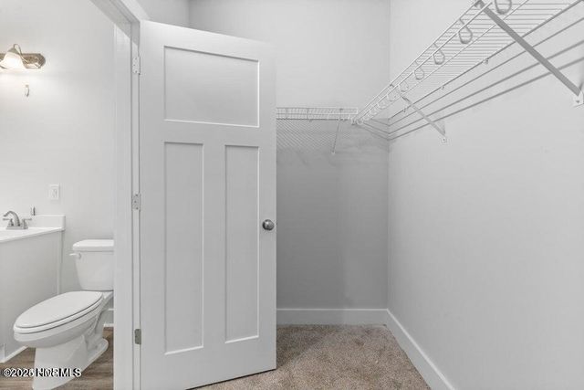 313 E Theriault Court, Jacksonville, NC 28540
