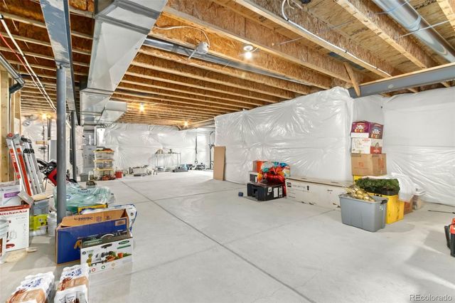 1484 First Light Drive, Windsor, CO 80550