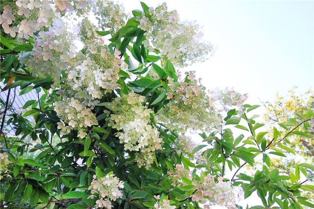 22 Bateman Avenue, Newport, RI 02840