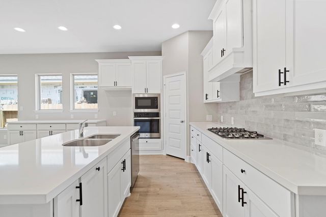 27122 Butterfly Mint Lane, Hockley, TX 77447