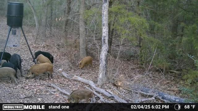 2095 Lcr 152, Mount Calm, TX 76673