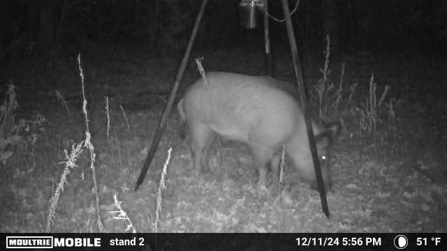 2095 Lcr 152, Mount Calm, TX 76673