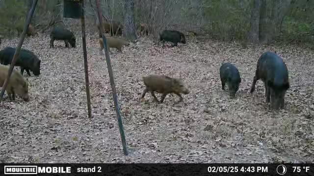 2095 Lcr 152, Mount Calm, TX 76673