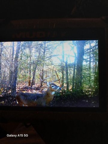 2095 Lcr 152, Mount Calm, TX 76673