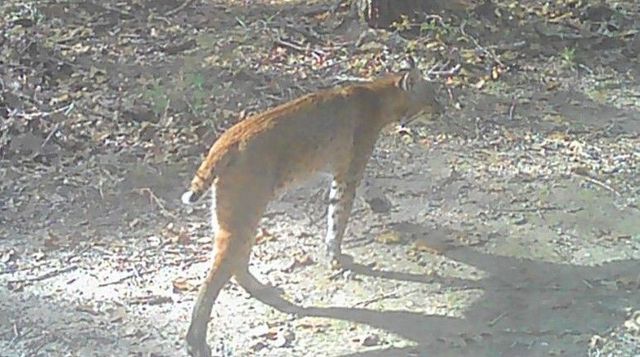 2095 Lcr 152, Mount Calm, TX 76673