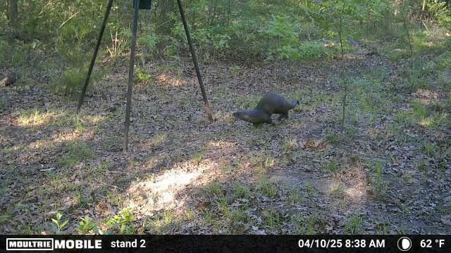 2095 Lcr 152, Mount Calm, TX 76673