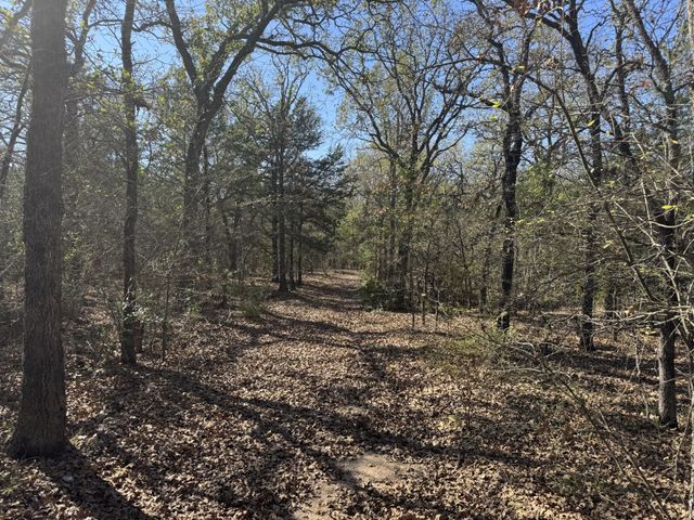 2095 Lcr 152, Mount Calm, TX 76673