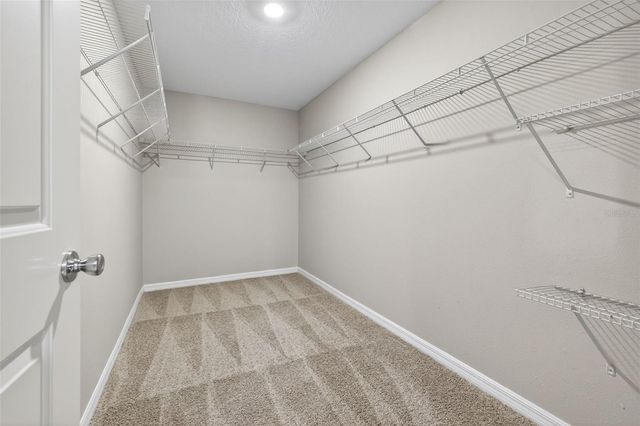 13236 JETER CREEK DRIVE, Riverview, FL 33579