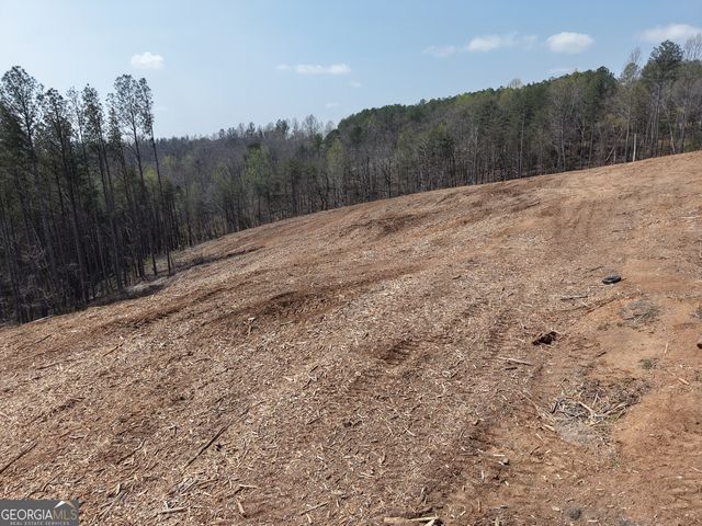 0 Young Loop 7206 PARCEL C, Fairmount, GA 30139