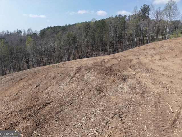 0 Young Loop 7206 PARCEL C, Fairmount, GA 30139