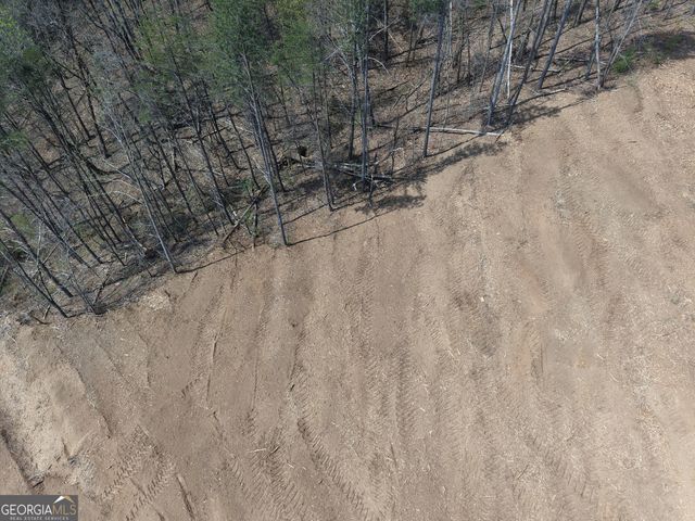 0 Young Loop 7206 PARCEL C, Fairmount, GA 30139