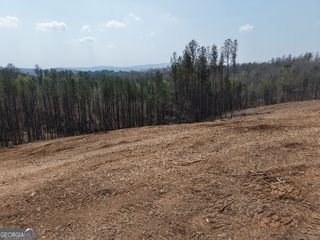 0 Young Loop 7206 PARCEL C, Fairmount, GA 30139