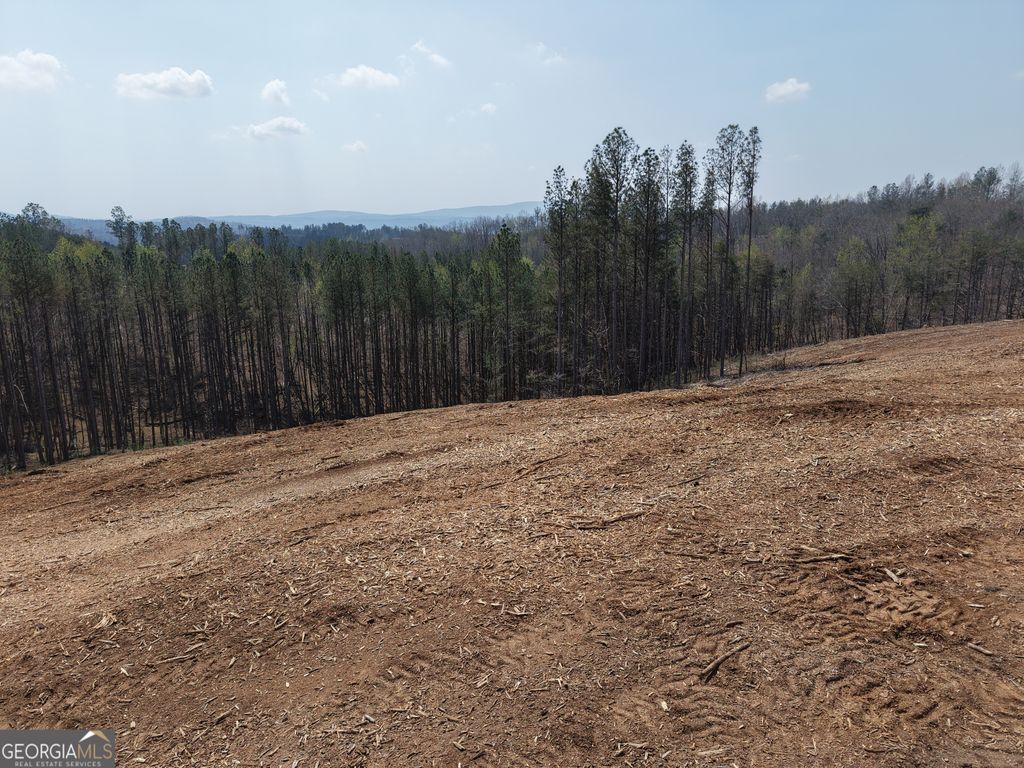 0 Young Loop 7206 PARCEL C, Fairmount, GA 30139