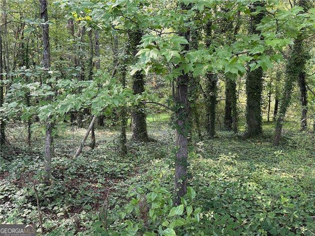 0 Boxer Lane, Cumming, GA 30028