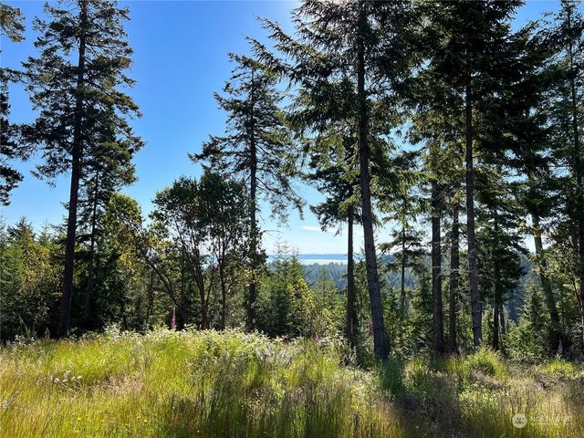 2 XXXX Mt Jupiter Road, Brinnon, WA 98376