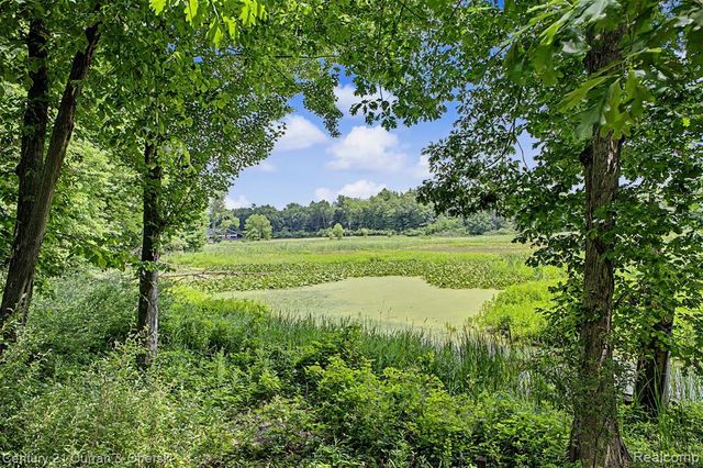11349 Philway Court, Brighton, MI 48114