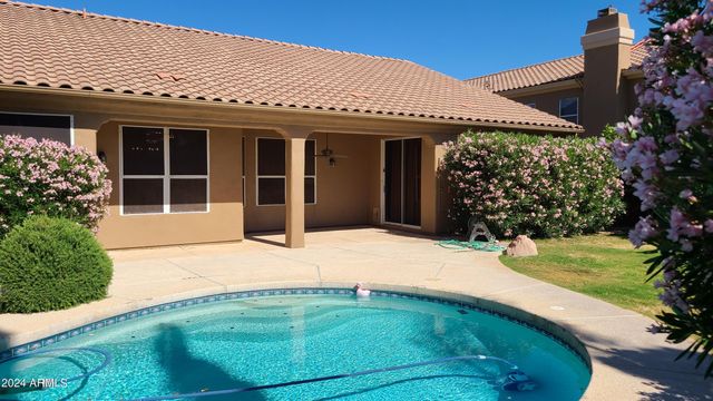 14206 S 12th Place, Phoenix, AZ 85048