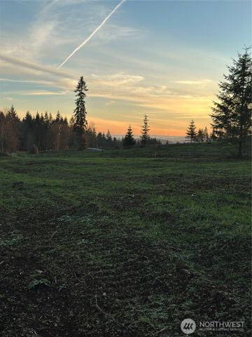 224 Suncrest Drive, Castle Rock, WA 98611