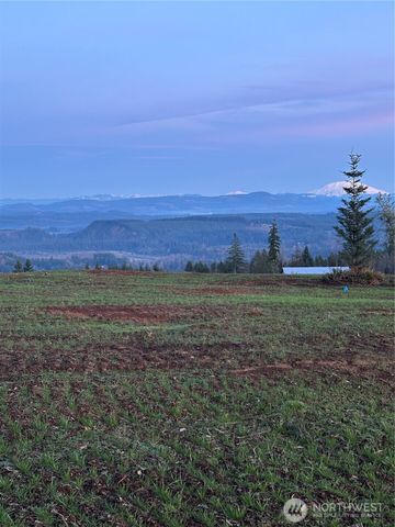 224 Suncrest Drive, Castle Rock, WA 98611