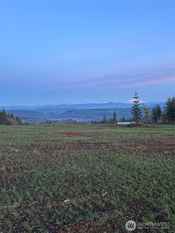 224 Suncrest Drive, Castle Rock, WA 98611