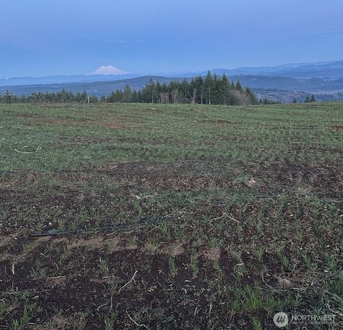 224 Suncrest Drive, Castle Rock, WA 98611