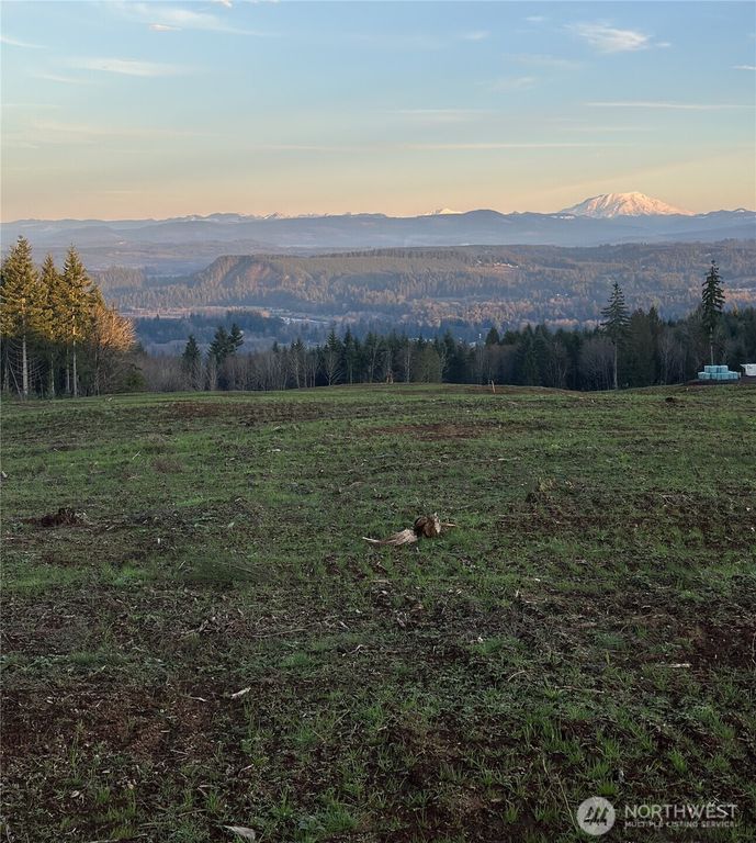 224 Suncrest Drive, Castle Rock, WA 98611