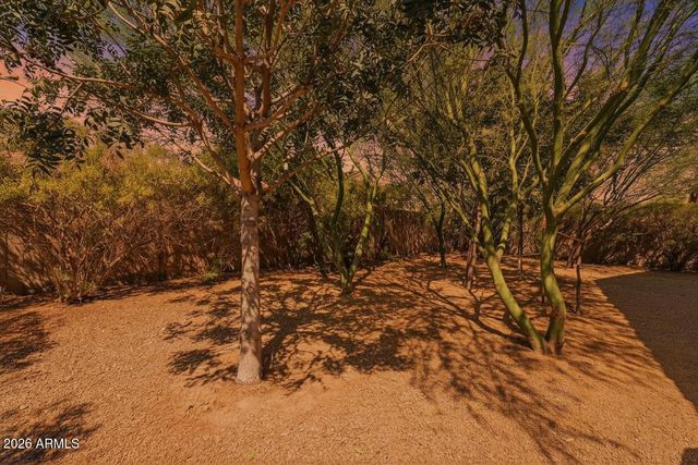 17805 W ANDORA Street, Surprise, AZ 85388