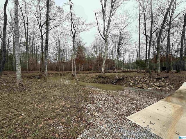 4637 CHELSEA ROAD, Chelsea, AL 35043