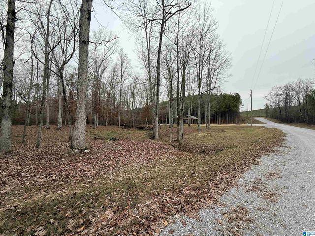 4637 CHELSEA ROAD, Chelsea, AL 35043