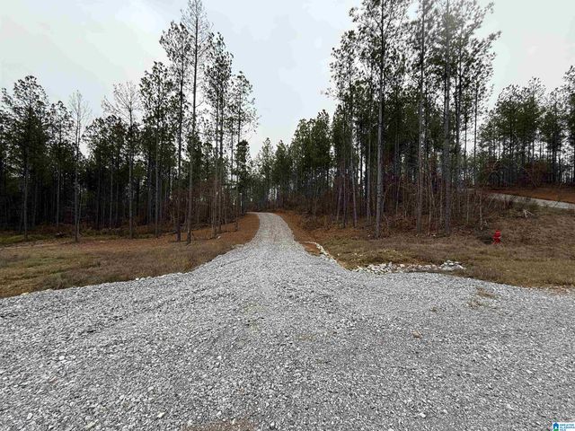 4637 CHELSEA ROAD, Chelsea, AL 35043