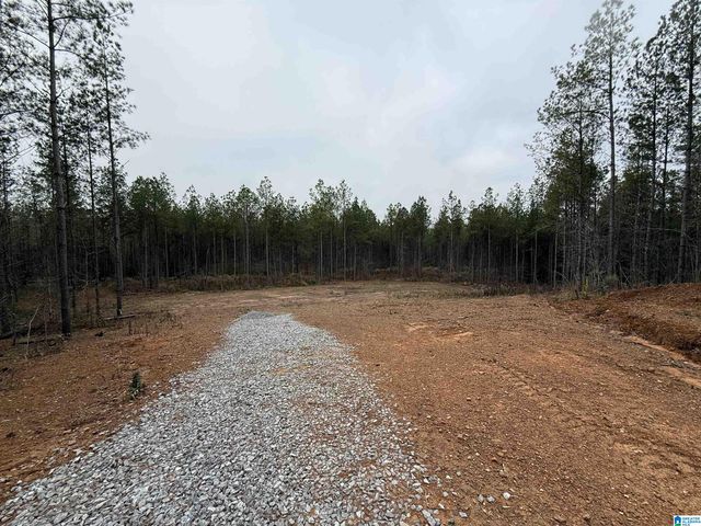4637 CHELSEA ROAD, Chelsea, AL 35043