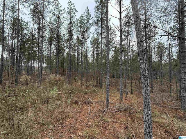 4637 CHELSEA ROAD, Chelsea, AL 35043
